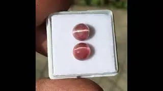 Cat's Eye Rubellite Tourmaline Round Pair Cabochon 4.3 ctw. #17404