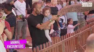Splash into Eid Fun at Emirates Park Zoo! 🌊🦁