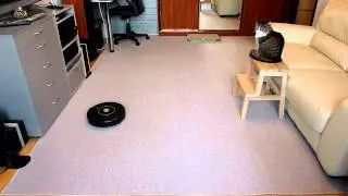 iRobot Roomba in action