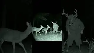 Man in Deer Costume Mimicking a Herd