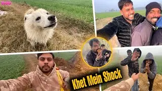 Puffy Ne Khet Mein Kaam Karvaya! 😳 