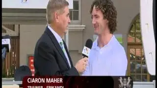 2014 AAMI Stradbroke Barrier Draw