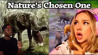 Finnish Girl Reacts to How Nature Accidentally Created the Perfect Animal