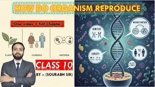 Part - 2 How Do Organisms Reproduce? | Class 10 Science Chapter 8 | Full Chapter Live Revision