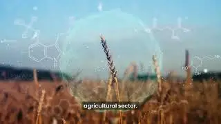 Your AgriTech technology partner | WebMakers Software House