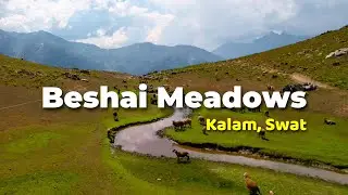 Beshai Meadows, Kalam | Kalam Valley | Swat