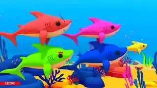 baby shark song video | children songs youtube | kids videos for learning