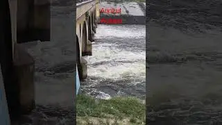 Anaicut Walajah
