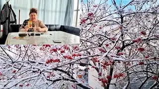 КАКИЕ СЕМЕНА САЖАЮ ☝️/Мне не хватает дня 🤷‍♀️/Семейный влог/@SvetlanaAleksandrovna61 
