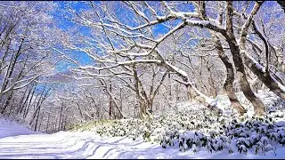 冬の聖高原と安曇野にお喋りドライブ・4K