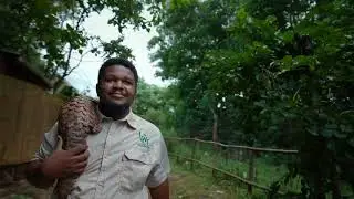 Malawi Wildlife Rescue: Season 2 Trailer