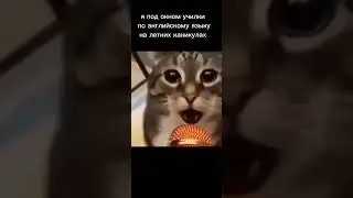 13 апреля 2024 г.