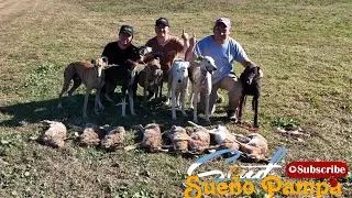 Field Greyhounds 2025 Greyhounds and Hares Outing May 24 and 25 with friends
