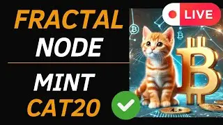 FRACTAL BITCOIN NODE Y MINT CAT20 TOKENS