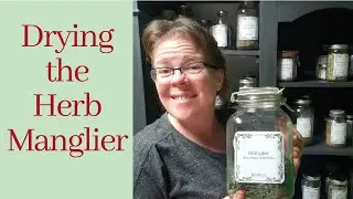Simply Drying & Processing Manglier or Consumption Weed