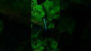 Why Scientists Still Haven&rsquo;t Fully Explored the Amazon Rainforest 🌿 | #exploremore #viralfacts