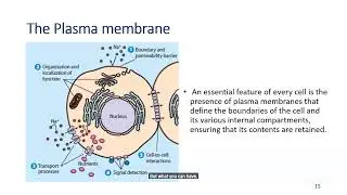BIO101- Lecture 1