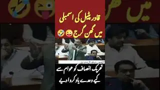 #qadirpatel fiery speech in #nationalassembly #ppp #pmln #pakistanpolitics #paknews