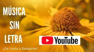 M&uacute;sica sin letra  Mind and eye journey