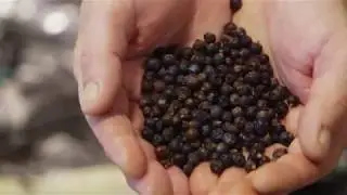 SweetWater Brewing Co. and the Giving Kitchen present Second Helping