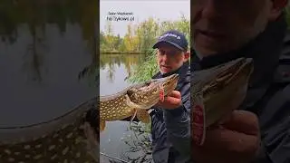 Błystki obrotowe Dam Effzett Standard &ndash; klasyki na szczupaki. 😁👍
