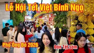 Lễ Hội Tết Việt Bính Ngọ Và Phố Ông Đồ 2026 chính thức khai mạc ngày 1/02 Tại Nhà Văn Hóa Thanh Niên