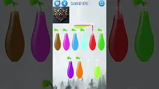 Water Sort Level 161
