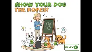 Teach the Wobble Game Fast&mdash;Turn Treat Time Into Smart, Active Play！