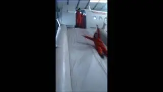 Safety Emergency Procedural Slide Drill for A320