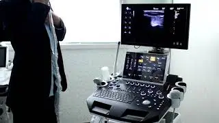 DW-T8LITE High End 4D Ultrasound Machine