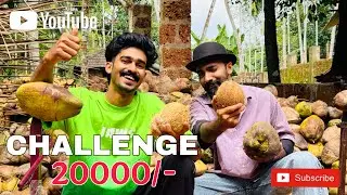 ഇതുവരെ ആരും ചെയ്യാത്ത ചലഞ്ച്‌ 🥥😁| തേങ്ങ പൊളിക്കൽ ചലഞ്ച്‌ 😮‍💨| challenge video | coconut challenge 🥥💸