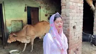 ye new song kasa h 🧐shooting day 😍 #viralvideo #funny #vlogger #shootingtime #like #subscribe