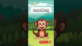 Learn animal names #babyanimals #monkey #animalfunny