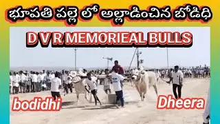 DVR BULLS ONGOLE JATHI GITTALU POWER FULL GITTALU FULL VIDEO