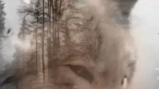 Byłaś taka sama — Abigáil 