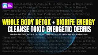 Whole Energetic Detox I Biorife®  Frequencies