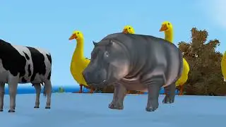 Long Slide gorilla pig horse funny 3Danimals 🐵🐷🐴 | Funny 3D Cartoon Animation