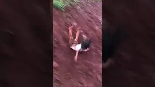 unniyamme kumbidi vannu 😂 | Instagram | babies