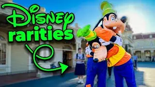 Rarest Things You Can See At Disney Parks