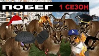 1 СЕЗОН СЕРИАЛА ПОБЕГ #шлепа #мем #сериал #сбежавший