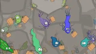 BSF Video (South Asia, En) - Ch.3 - How the biosand filter works