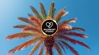 Standing Still Under a Burning Sky 🌴 90-Minute Tropical Music Loop