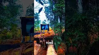 Tractor Crosses River on Two Logs 😱😳