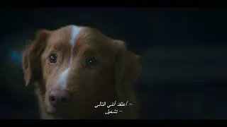 Good Boy - Official Trailer (2025) | PHF