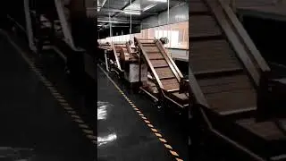 Fruit and vegetable processing line#fruit processing line #dryermachine