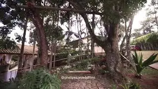 Conhe&ccedil;a o Espa&ccedil;o Cantareira