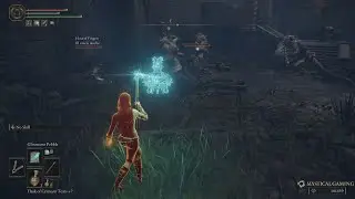 Elden Ring - Multiplayer Coop (XBOX SERIES X)