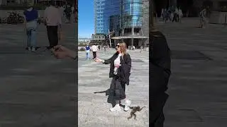 Piazza Gae Aulenti and the Iconic UniCredit Tower #shortvideo #youtubeshorts #milano #italy