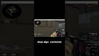 I'm insane? - Yeah, thanks. #csgo #cs2 #de_train #train #ESL #Gaming #counterstrike