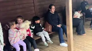 Cotswold wildlife and park 